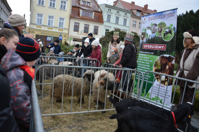 XII Bydgoski Orszak Trzech Króli