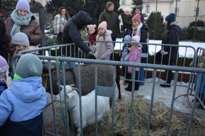 13.Bydgoski Orszak Trzech Króli